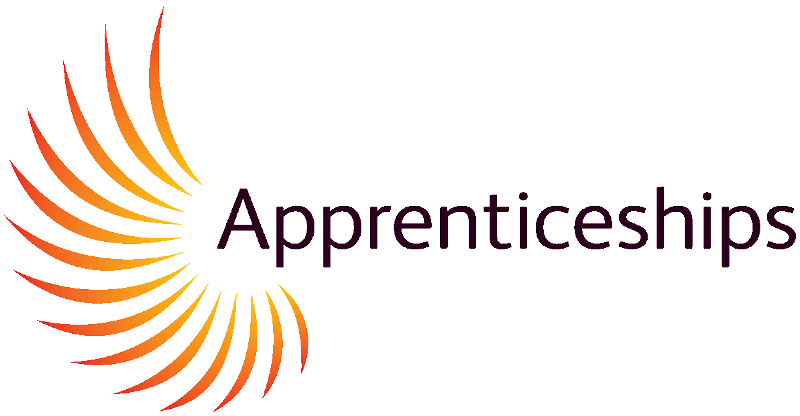 Apprenticeship Assessment Plan submitted to Government